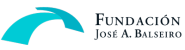 fundación Balseiro logo